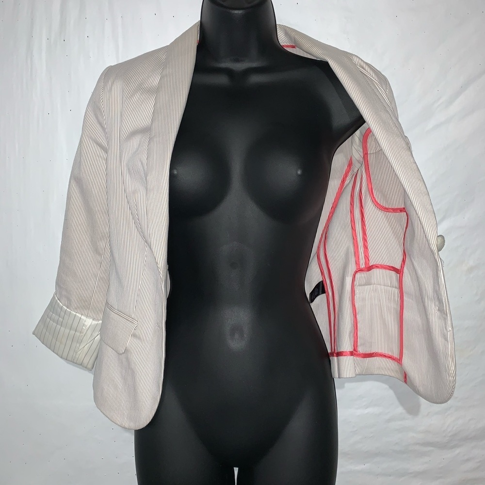 Express Pinstripe Blazer - Picture 8 of 8